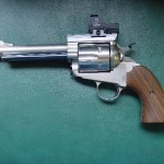 TexaslonghornHR2